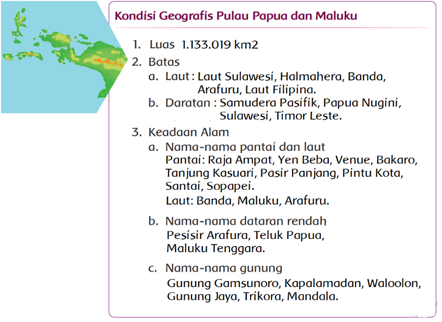 Kondisi Geografis Pulau Papua dan Maluku Berdasarkan Peta