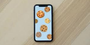 Cara Menghapus Cookie di iPhone