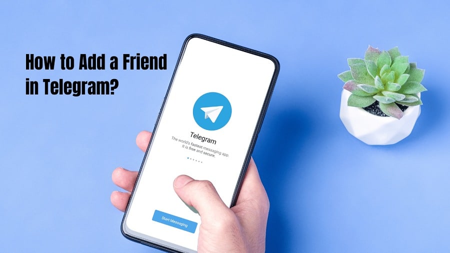 How to Add a Friend in Telegram?