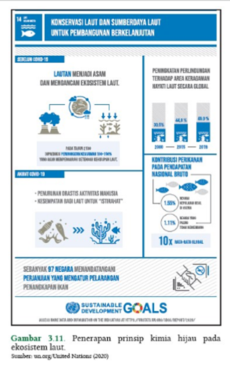 Infografis Kunci Jawaban Pengayaan halaman 74 Konservasi Laut dan Sumber Daya Laut Untuk Pembangunan Berkelanjutan IPA SMA Kelas 10 Kurikulum Merdeka
